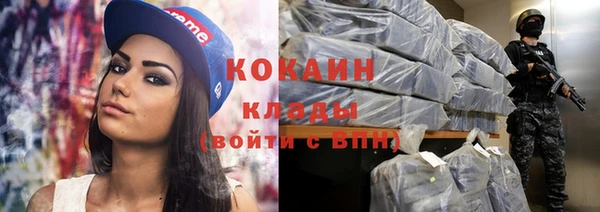 дживик Богородицк