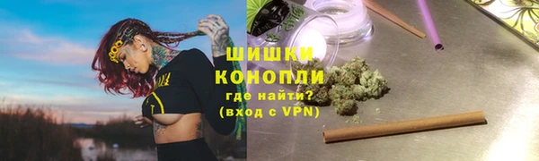 дживик Богородицк