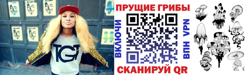 где найти Кубинка MEGA Галлюциногенные грибы Cubensis